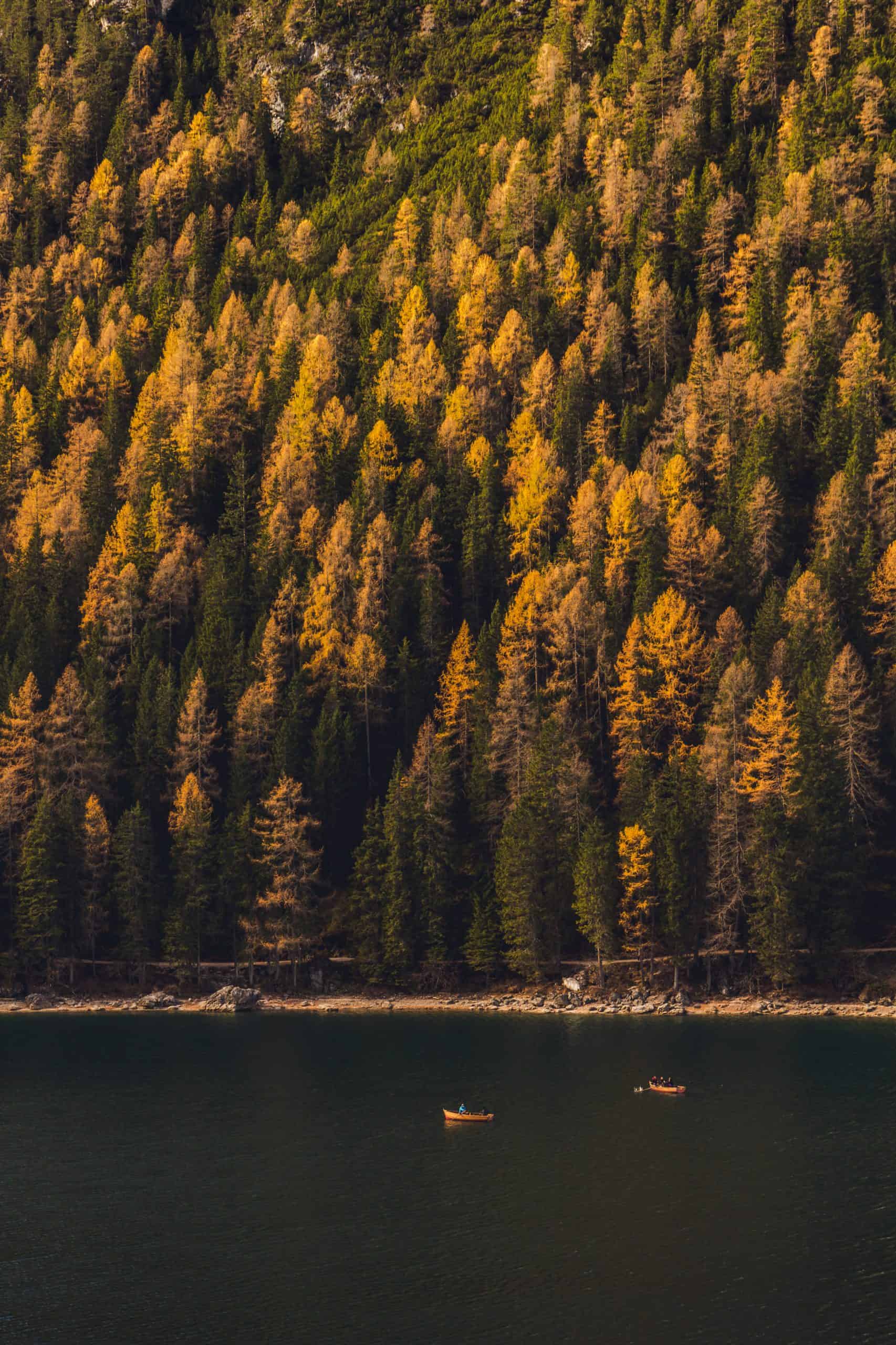 the woods surrounding lake braies with autumn foliage colors reflecting on the lake with two small wooden boats