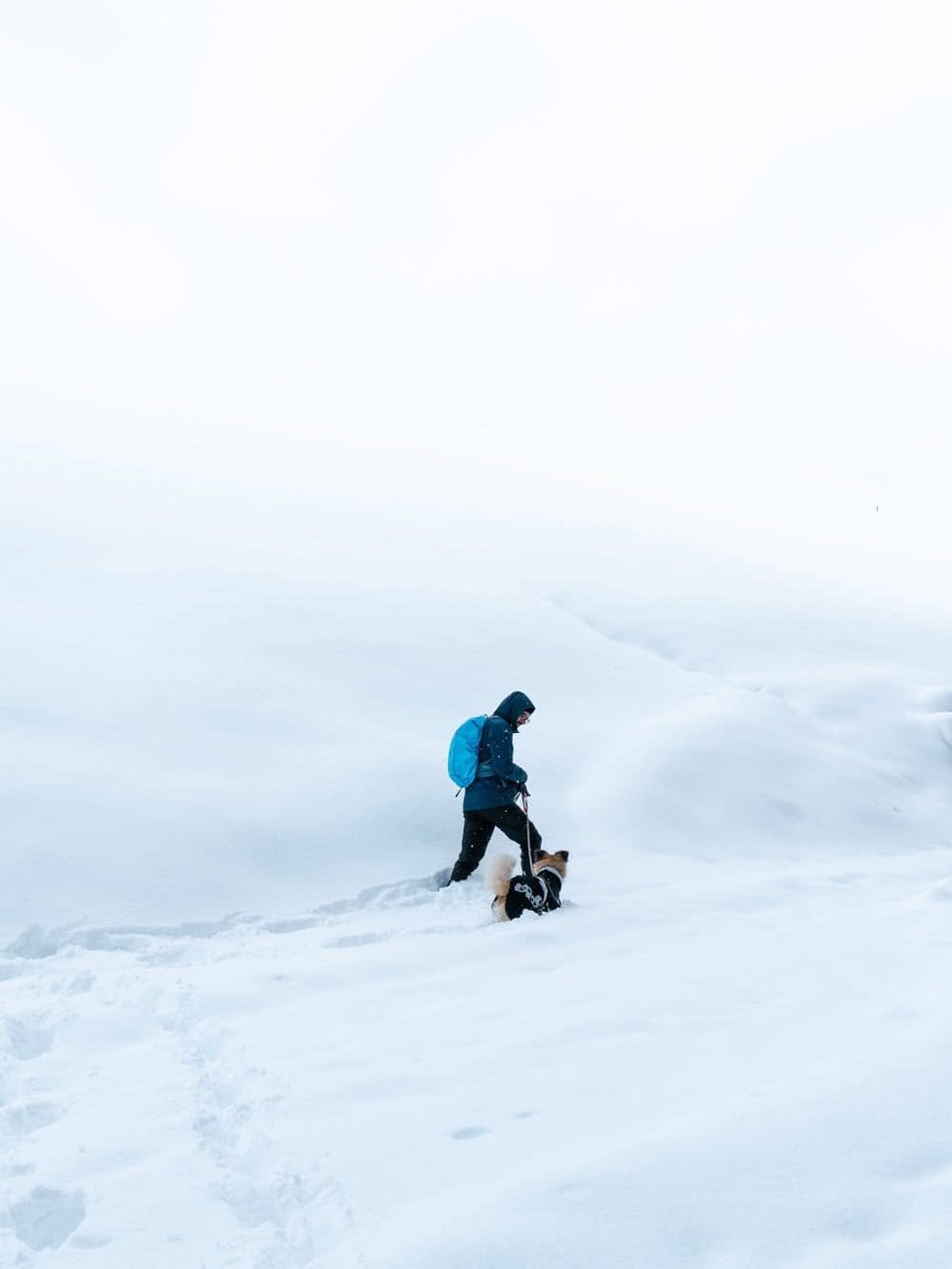 A man and his dog walking in a snowy field in the dolomites in alta badia. They are tiny silhouettes in the image, with the snow in the field merging with the white sky.