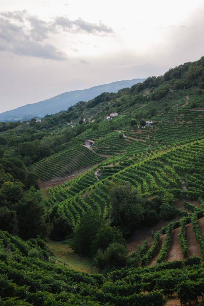 Prosecco hills at sunset